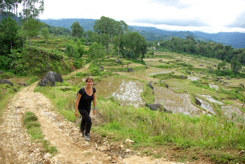 Trek dans le nord Toraja