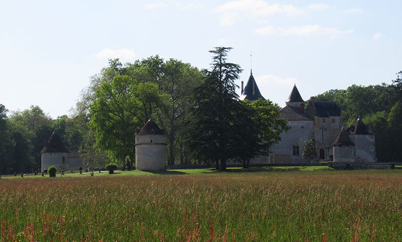 Sauternes château Dyquem