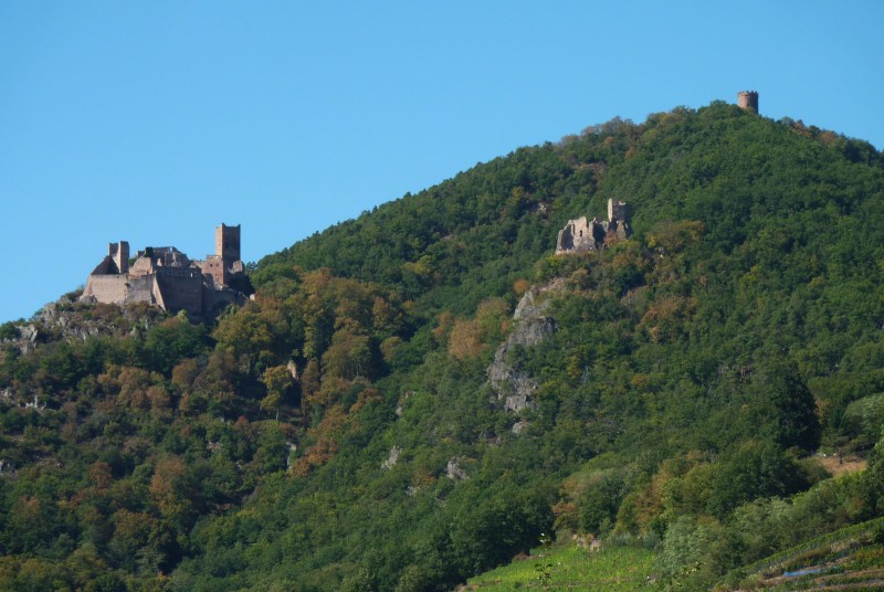 Châteaux de Saint-Ulrich, Girsberg et Haut-Ribeaupierre