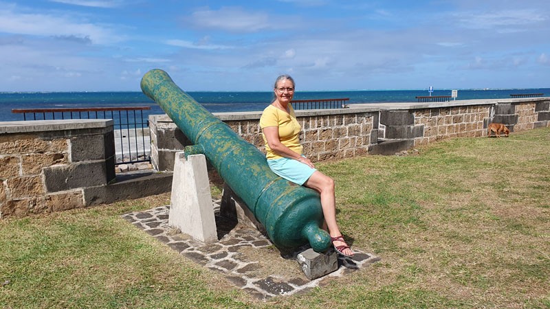 Vieux Grand Port site