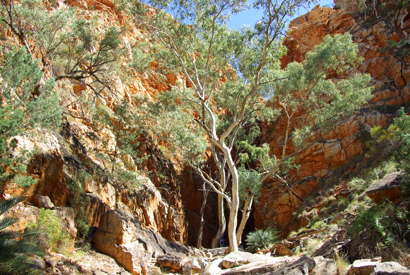 West MacDonnell NP - Standley Chasm