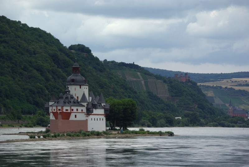 Chateau de Pfalz sur le Rhin