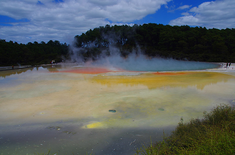 Nouvelle-Zélande - Roturoa