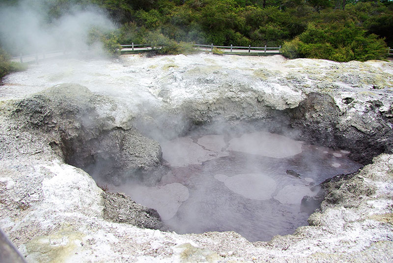 Nouvelle-Zélande - Roturoa