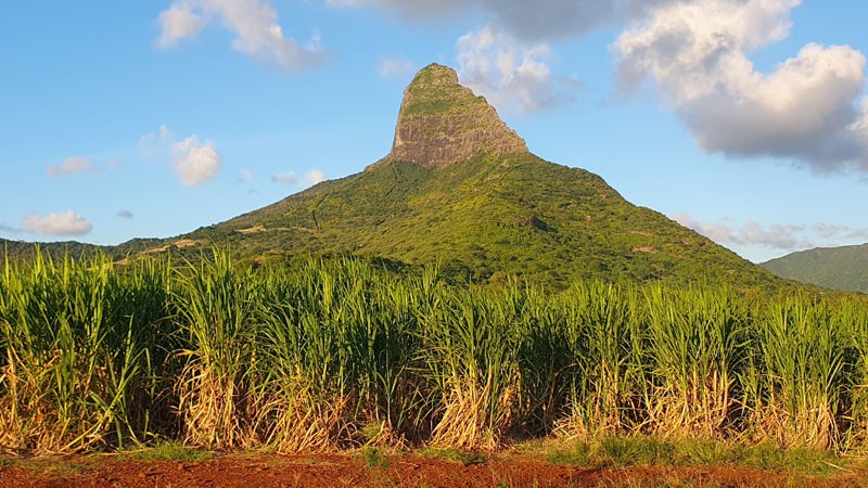 Piton de la petite rivière noir