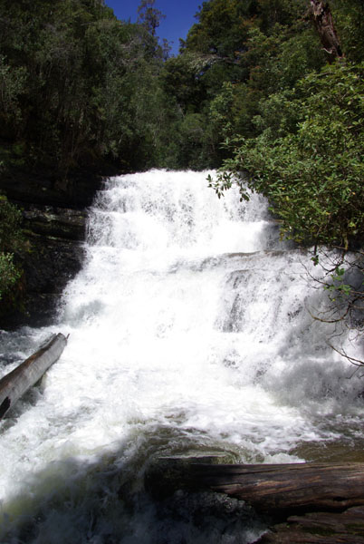 Mont Field NP - Lady Barron falls