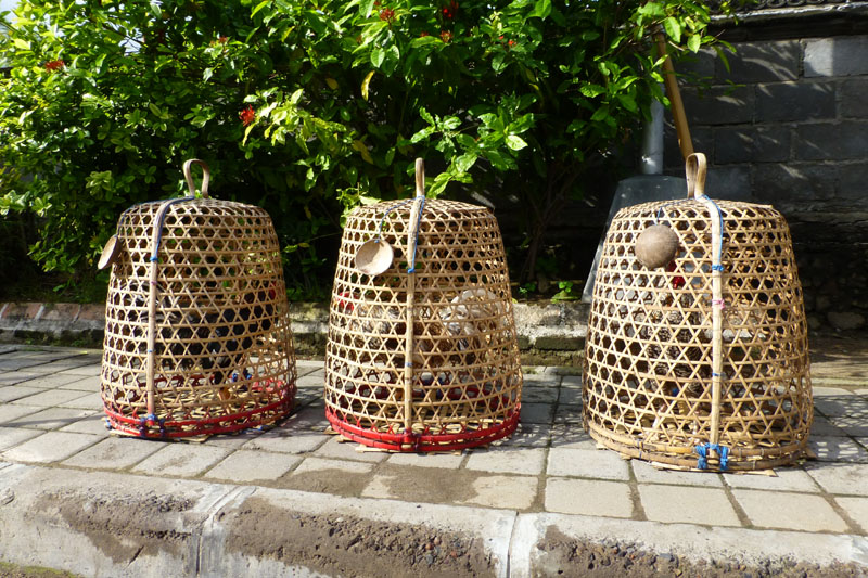 Padangbai - cages à poules