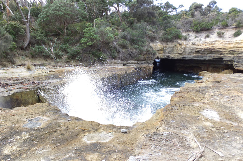 Péninsule de Tasman - Blowhole