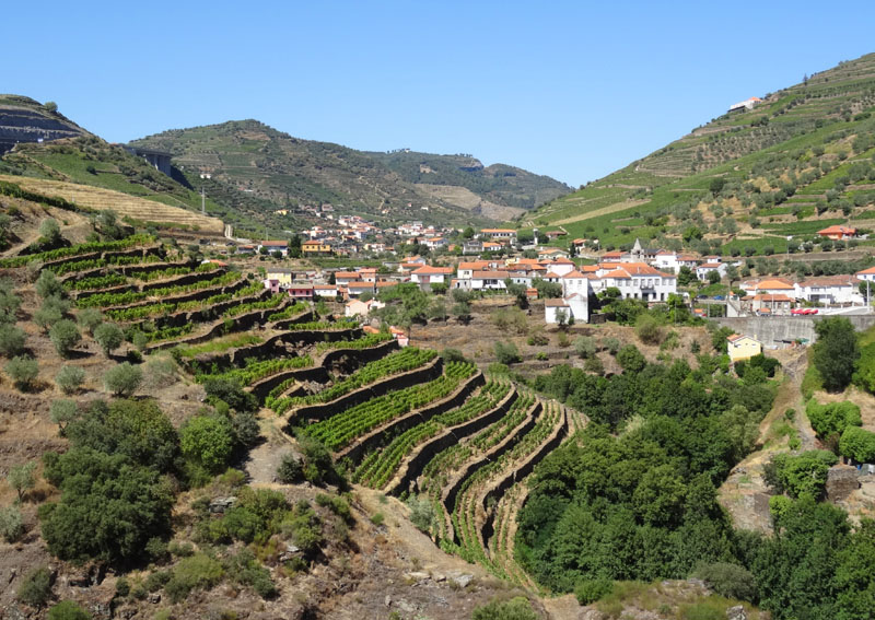 Vignoble du Douro