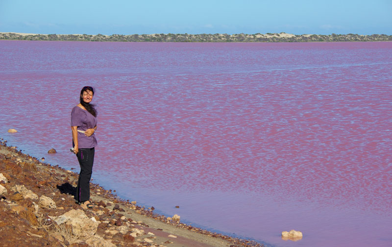Port Gregory - Pink lake