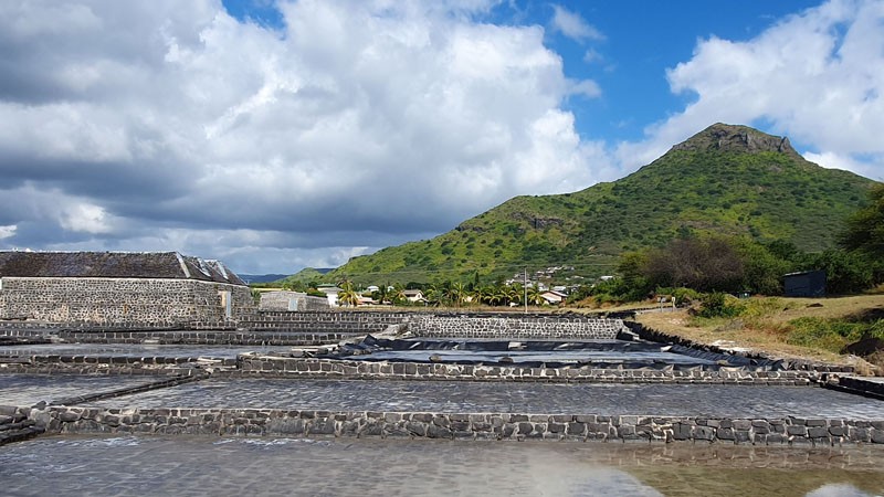 Saline de Tamarin