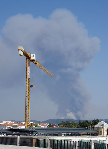 Coimbra - Incendie de forêt