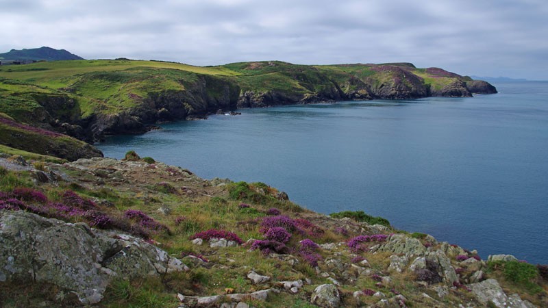 Strumble Head