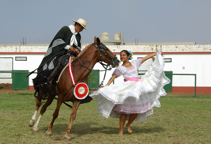Trujillo - Cavaliers et danses péruviens