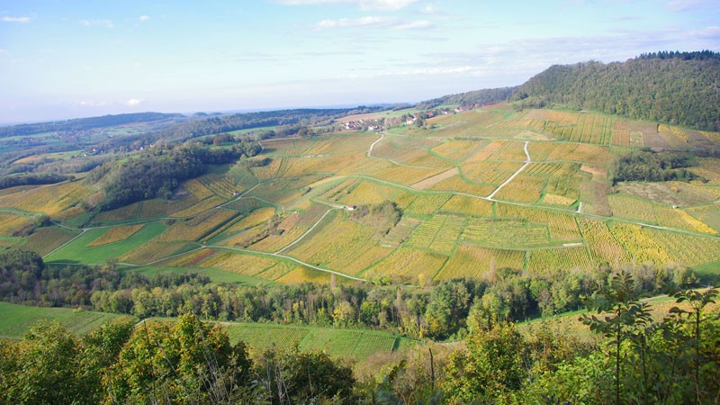 Château-Chalon