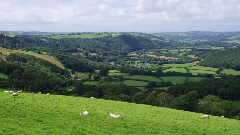 Rheidol Valley