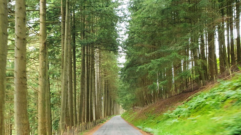 Elan Valley