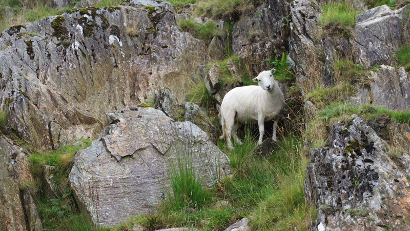 Elan Valley