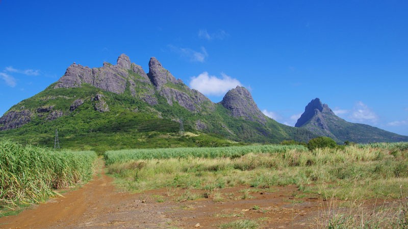 Montagne des 3 mamelles