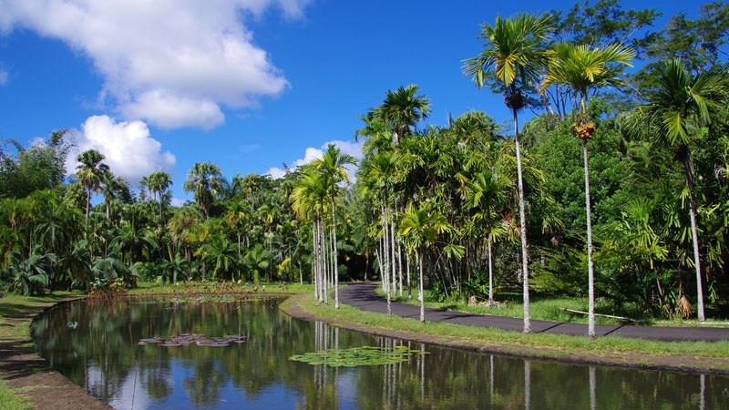 Jardin botanique