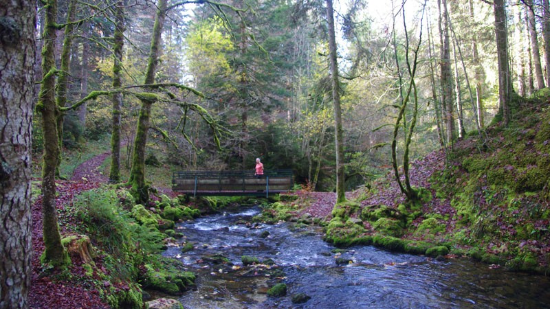 Rando la source bleue