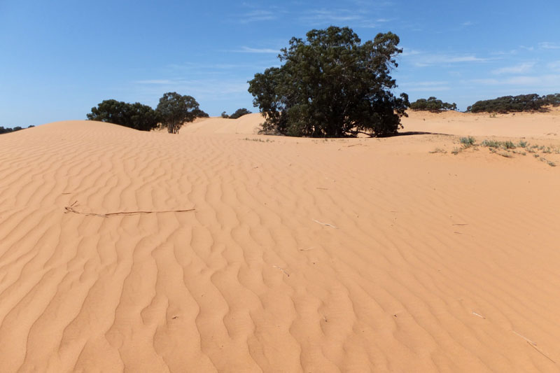Wenworth - Perry sand dune