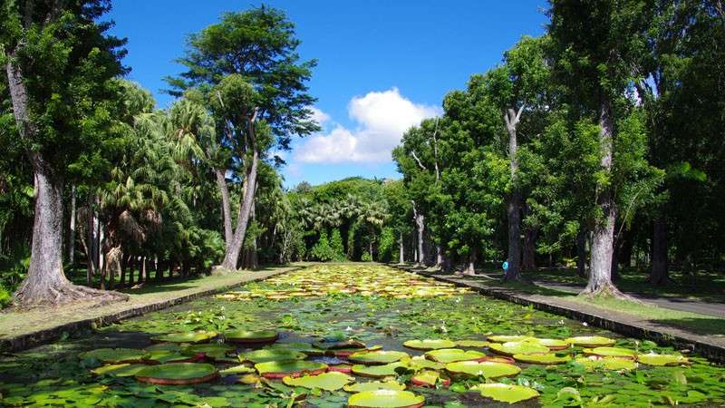 Jardin botanique