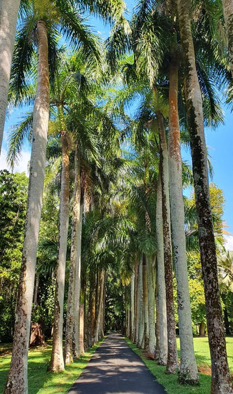 Jardin botanique