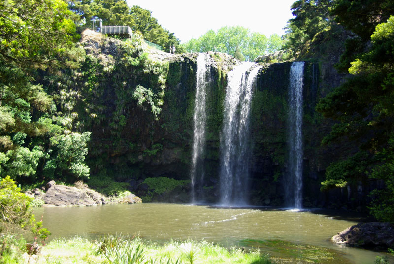 Whangarei - Falls