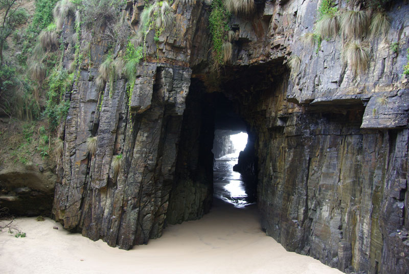 Péninsule de Tasman - Cave
