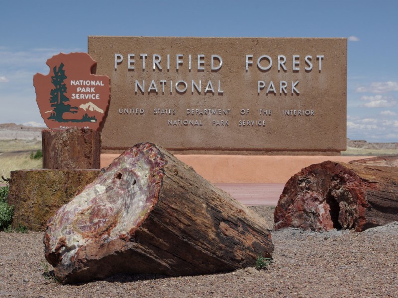 Petrified forest NP