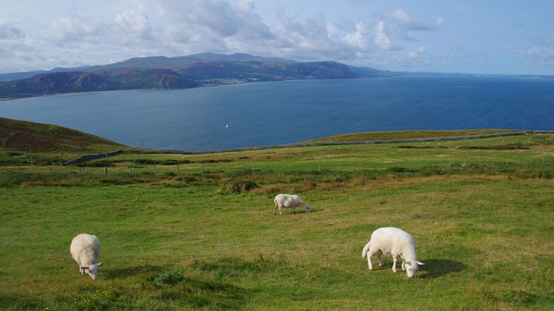 Llandudno Great Orme's Head