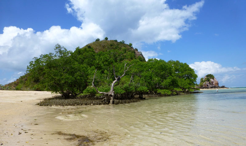 Kuta Lombok - plage et mangrove