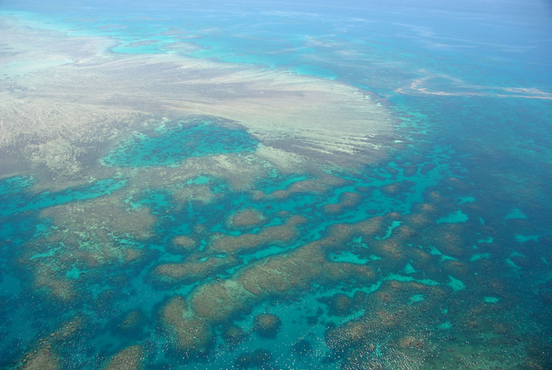 Survol grande barrière de corail