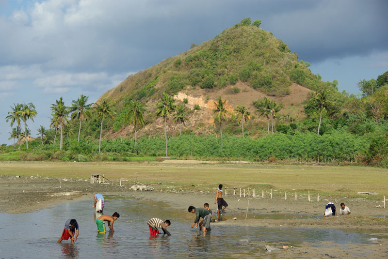 Kuta Lombok - pêcheurs