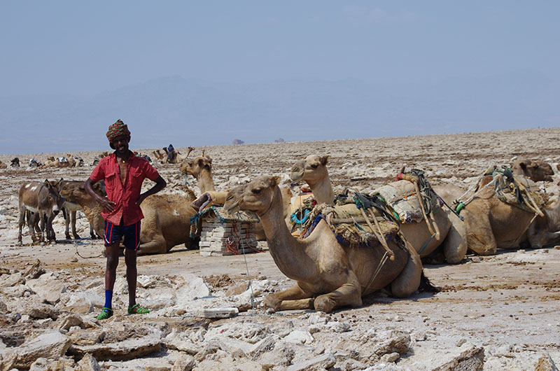 Lac Karoum - Les forçats du sel