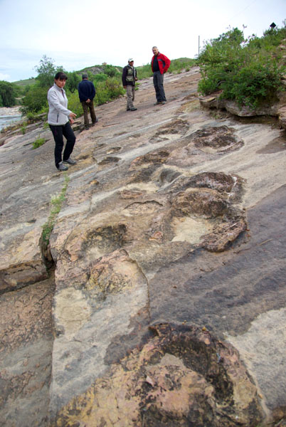 Parc national Toro Toro - Empreintes de dinosaures herbivores
