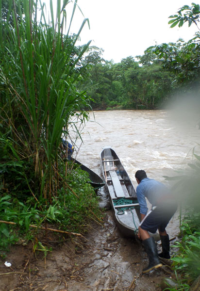 Amazonie équatorienne