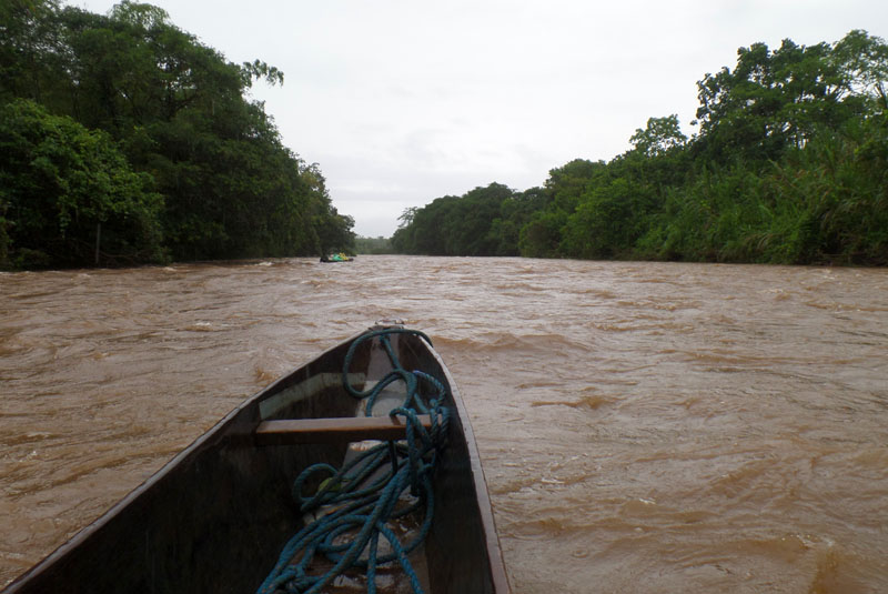 Amazonie équatorienne - Rio Pastaza