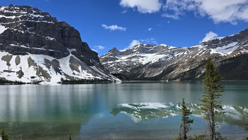Bow lake