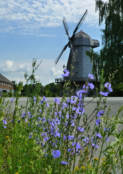 Kaunas - moulin