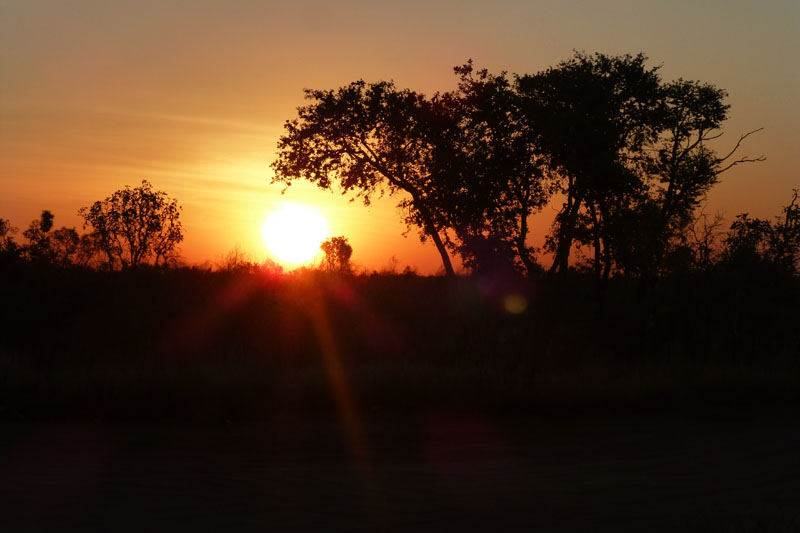 Coucher de soleil dans la savanne