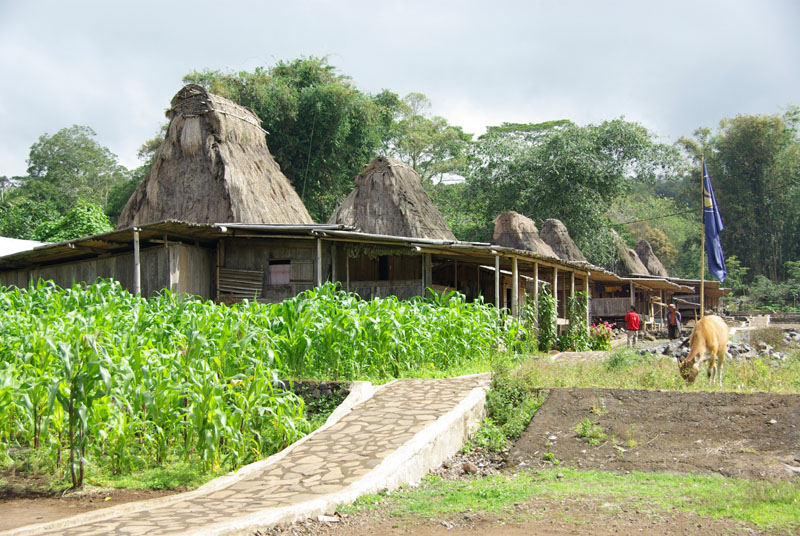 Wogo village Ngada