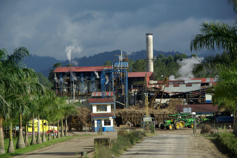 Raffinerie de canne à sucre