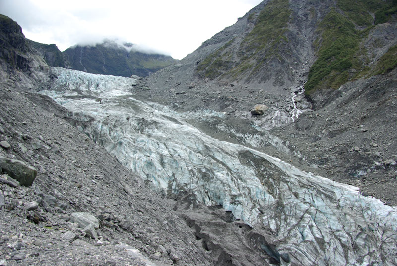 Fox - Vallée glacière