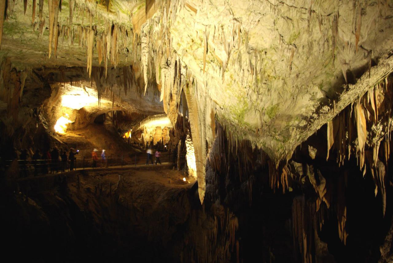 Grotte de Postojna (Slovénie) 