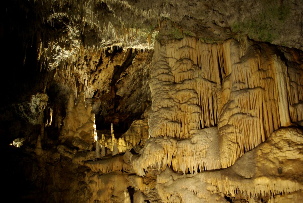 Grotte de Postojna (Slovénie) 