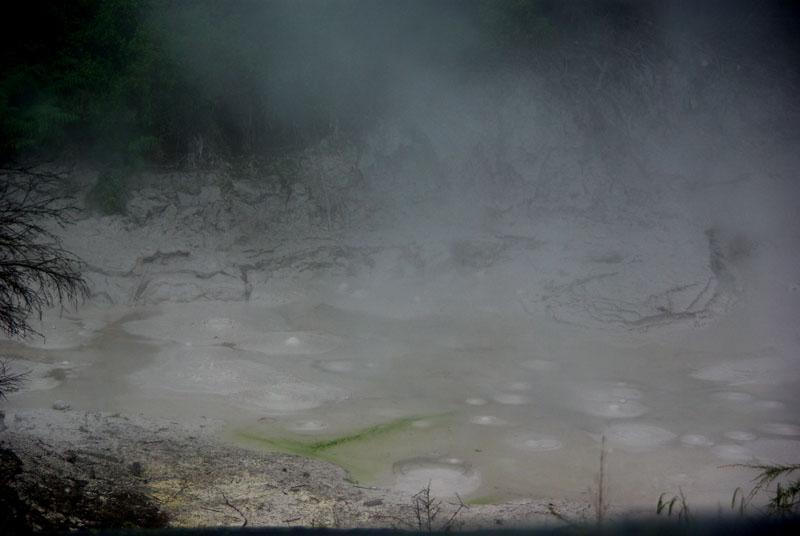 Rotorua - Mud pool