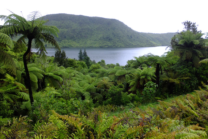 Rotorua - Green lake