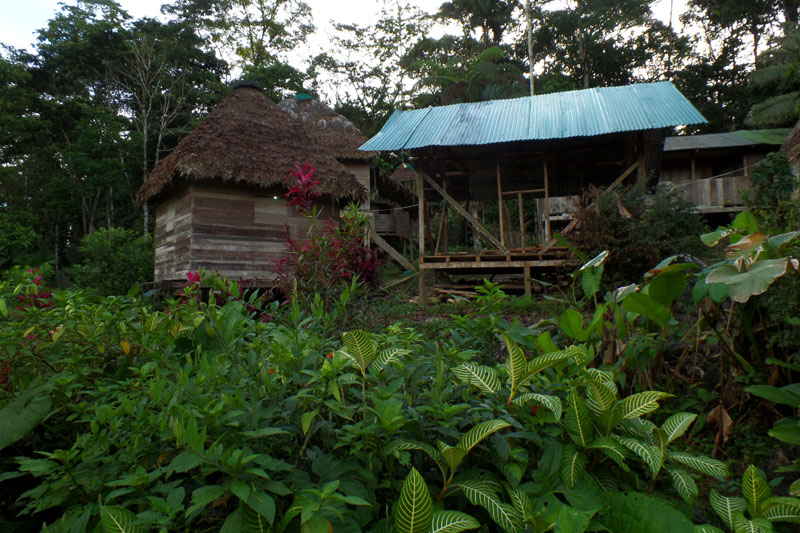 Amazonie équatorienne - Arrivée au village